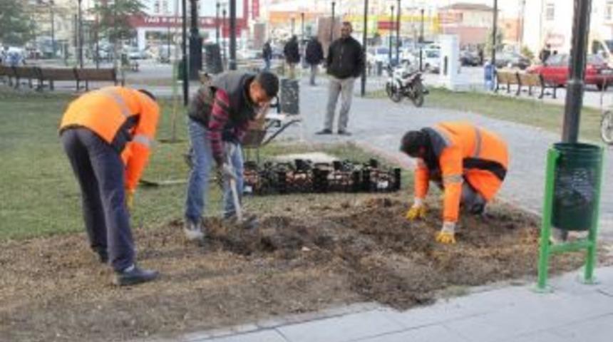 Cihanbeyli’de Çiçeklendirme Çalışmaları Başladı