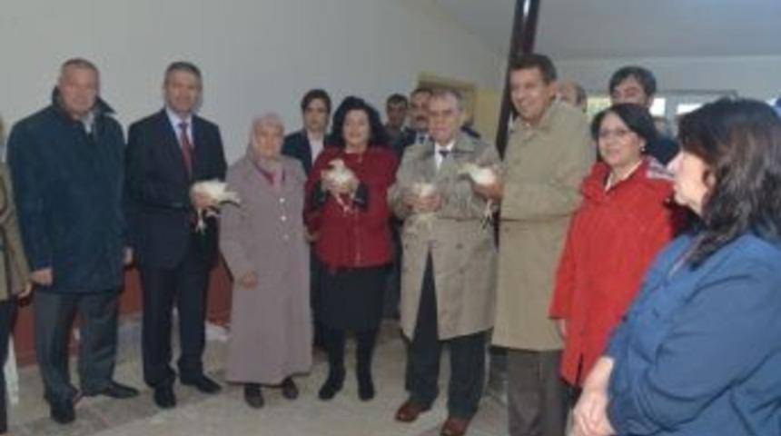 Ekim Ayında Dağıtılan Hindi Civcivleri Yeni Yıl İ&ccedil;in Satışa &Ccedil;ıkarıldı