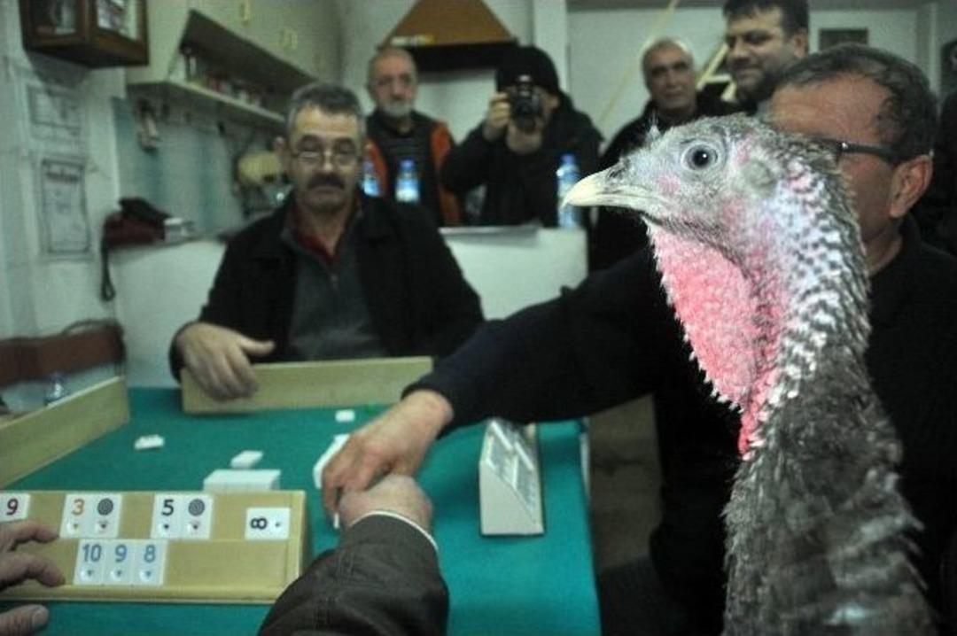 Zonguldak&rsquo;ta Hindili Okey Turnuvası