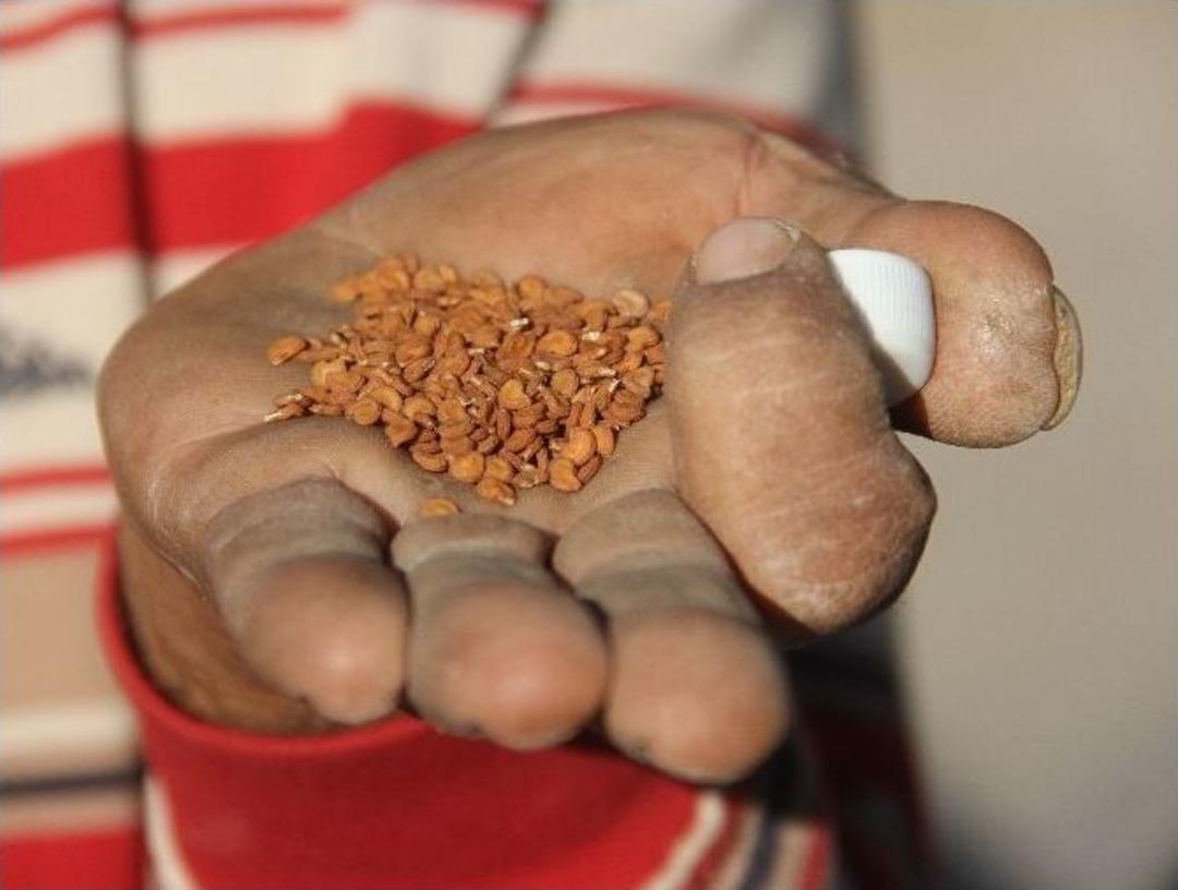 (&ouml;zel) Hemoroid Oldu, Bitkisel &Ccedil;aresini Buldu