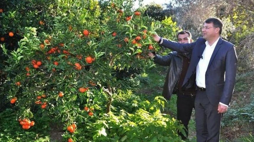 Silifke Belediyesi Sorunları Yerinde Tespit Ediyor