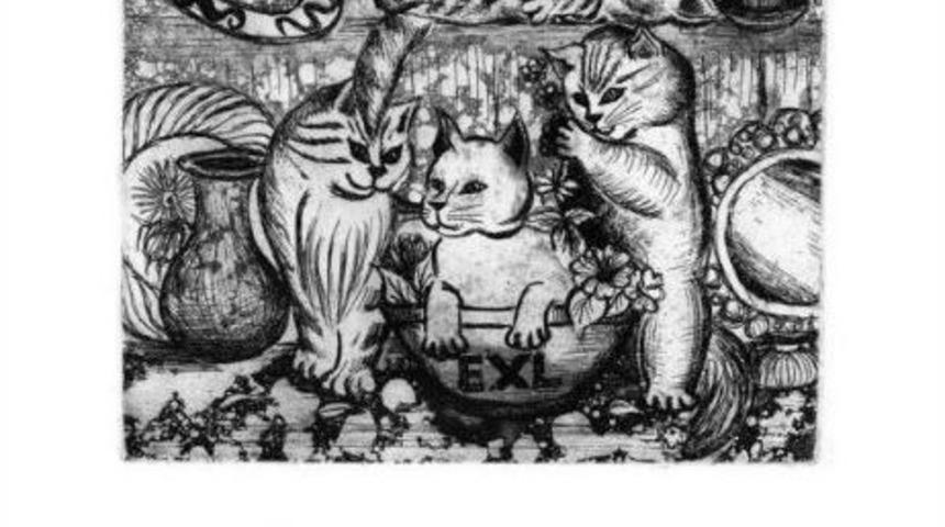 D&uuml;nya &Uuml;&ccedil;&uuml;nc&uuml;s&uuml; Om&uuml;&rsquo;den