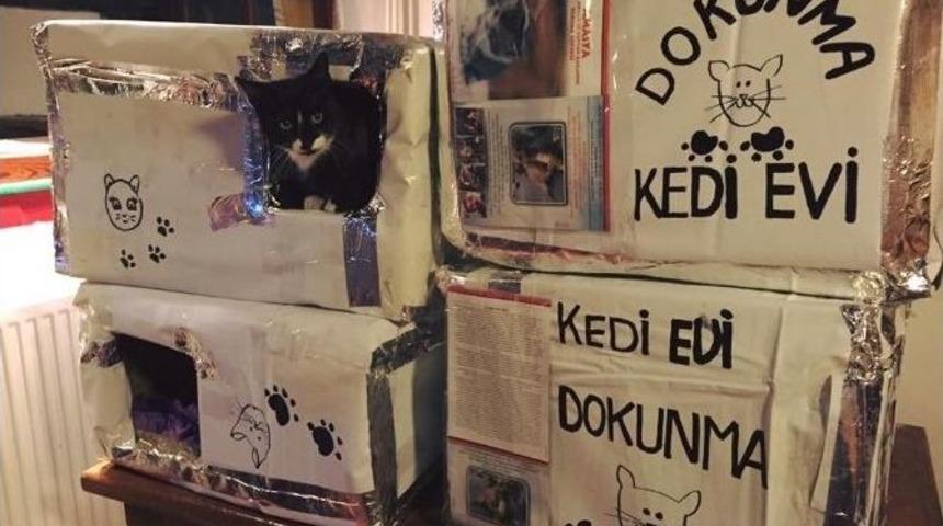 Sokak Kedileri İ&ccedil;in Kedievi Yaptılar
