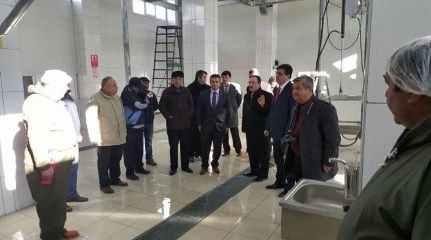 Modernize Edilen Pazaryeri Belediyesi Mezbahanesi Hizmete Girdi