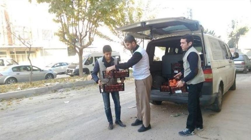 Bir G&uuml;nde Muhacirlere 6 Ton Domates Dağıtıldı