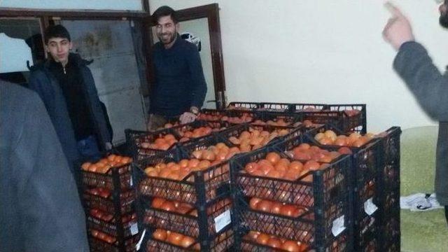 Bir Günde Muhacirlere 6 Ton Domates Dağıtıldı