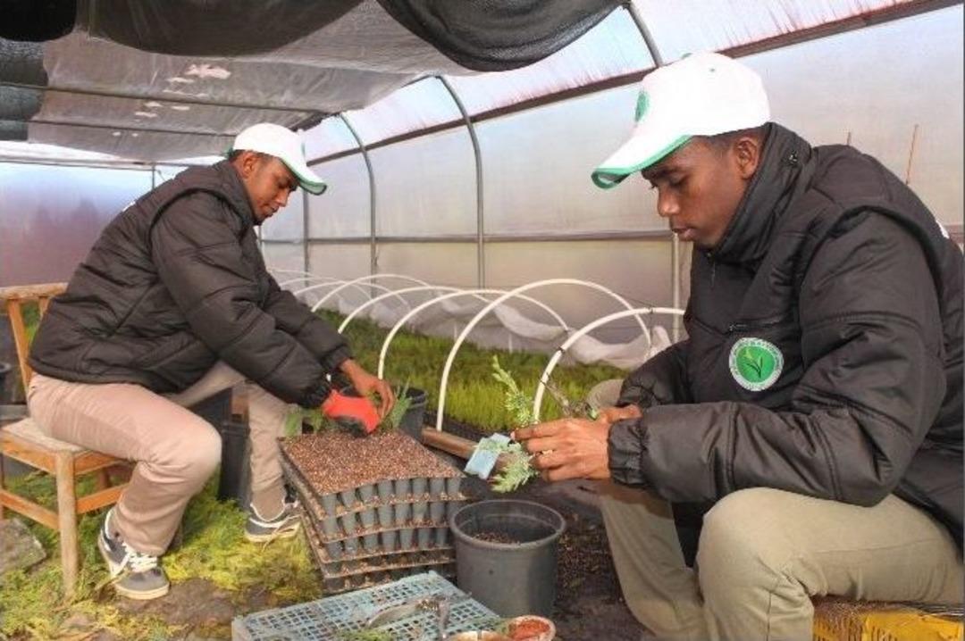 (&ouml;zel Haber) Ziraat Ve Tarım Lisesi&rsquo;nin Somalili &Ouml;ğrencileri