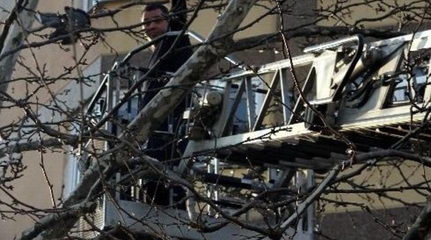 (&ouml;zel Haber) Dallara Takılan G&uuml;vercini İtfaiye Kurtardı