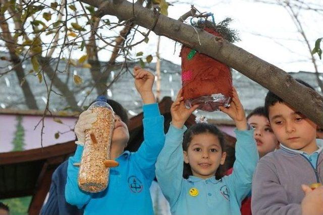 Plastik Atıklardan Kuş Yuvası Yapıp, Ağaçlara Astılar