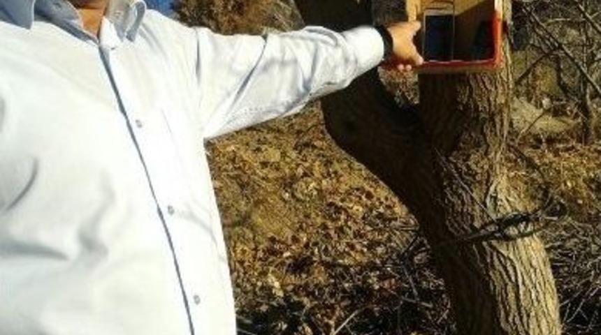 Ağaca Asılan Kutudan İletişim