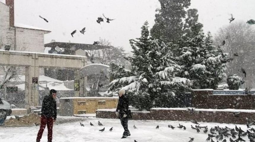 Bakırk&ouml;yl&uuml;ler, Yılbaşını &Ouml;zg&uuml;rl&uuml;k Meydanı&rsquo;nda Kutlayacak
