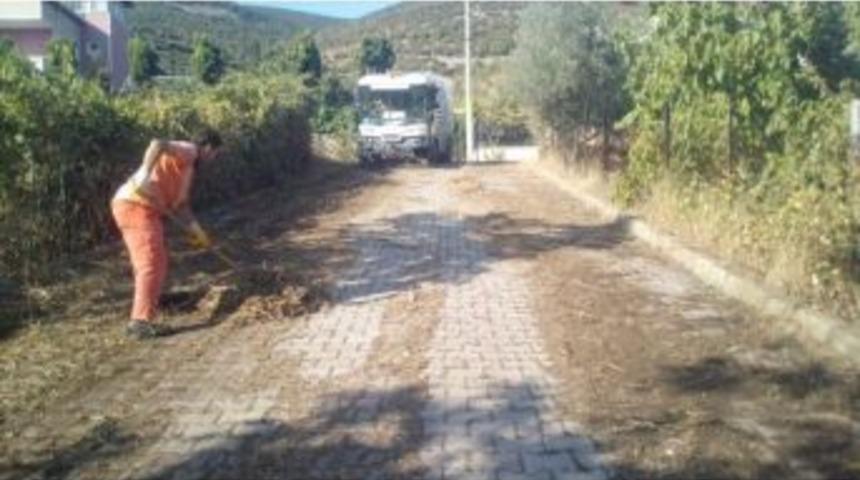 K&ouml;rfez&rsquo;de Yaprak Temizliği Devam Ediyor