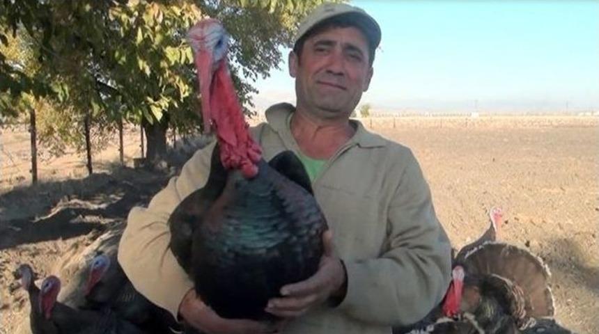 Bunlar Da Organik Hindi