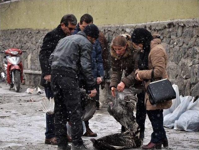 Kars’ta Yılbaşı Hindilerine Yoğun İlgi