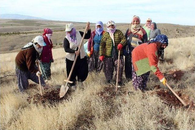 Evde Çocuk, Dağda Fidan Yetiştiriyorlar