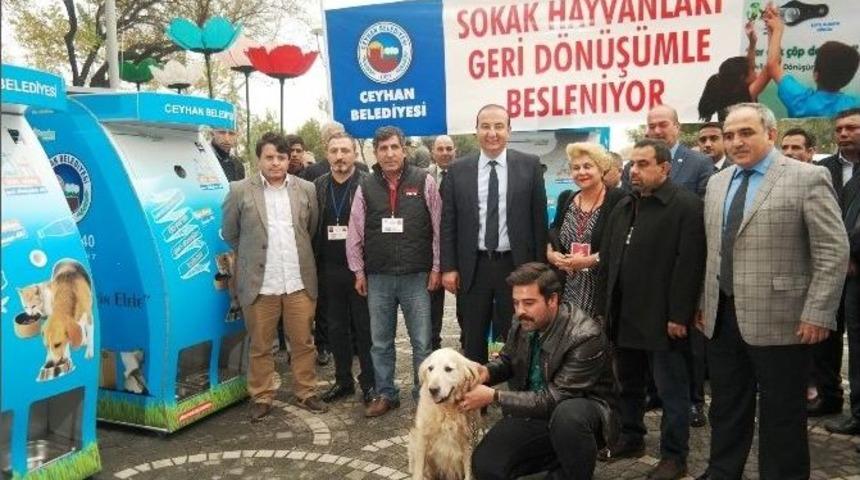 Ceyhan&rsquo;da Sokak Hayvanları Geri D&ouml;n&uuml;ş&uuml;mle Besleniyor