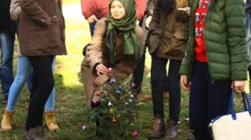 Yeni Yıl Ağacı Toprakla Buluştu