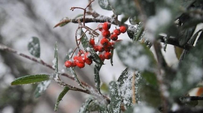 Kamp&uuml;sten Kar Manzaraları
