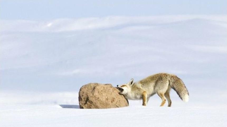 Fotoğraf Sanat&ccedil;ısı Murat Kaya İkinci Kişisel Sergisini A&ccedil;tı