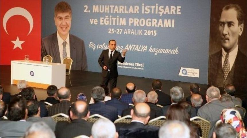 Sinekle M&uuml;cadelede İla&ccedil;lama Tek Başına &Ccedil;&ouml;z&uuml;m Değil