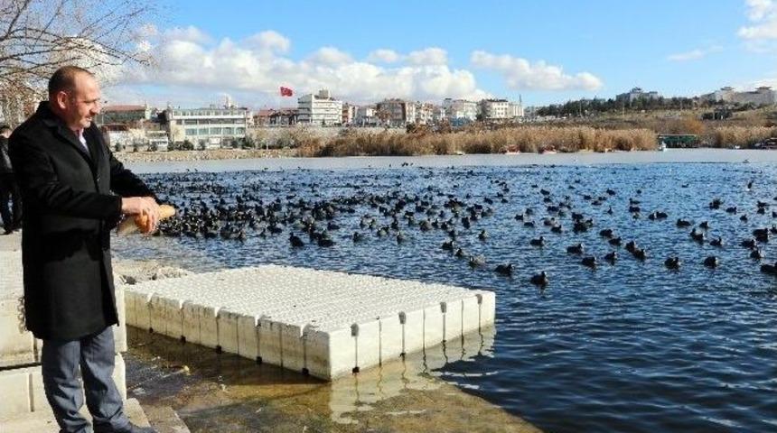 Başkan Duruay Elleriyle Karabatakları Besledi