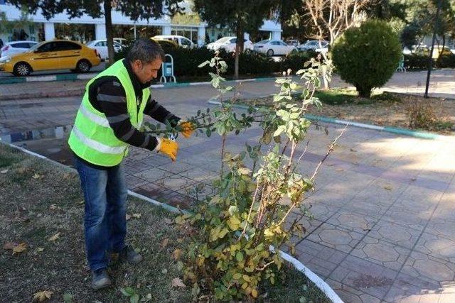 Şanlıurfa’da Çelikle Gül Üretimi