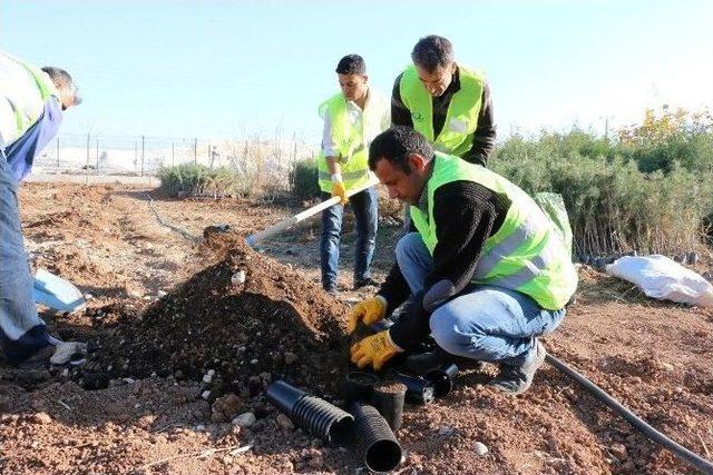 Şanlıurfa’da Çelikle Gül Üretimi