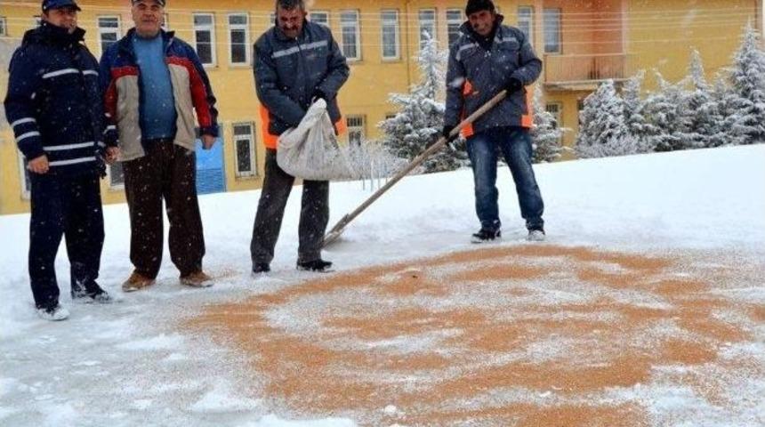 Yazıh&uuml;y&uuml;k Belediyesi Kuşlara Yem K&ouml;peklere Ekmek Dağıttı