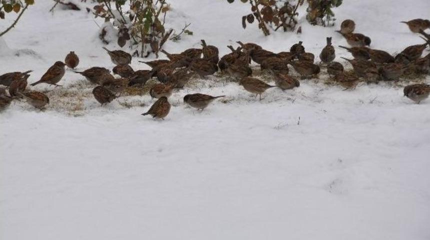 Sivas&rsquo;ta Karın Keyfini &Ccedil;ocuklar &Ccedil;ıkardı