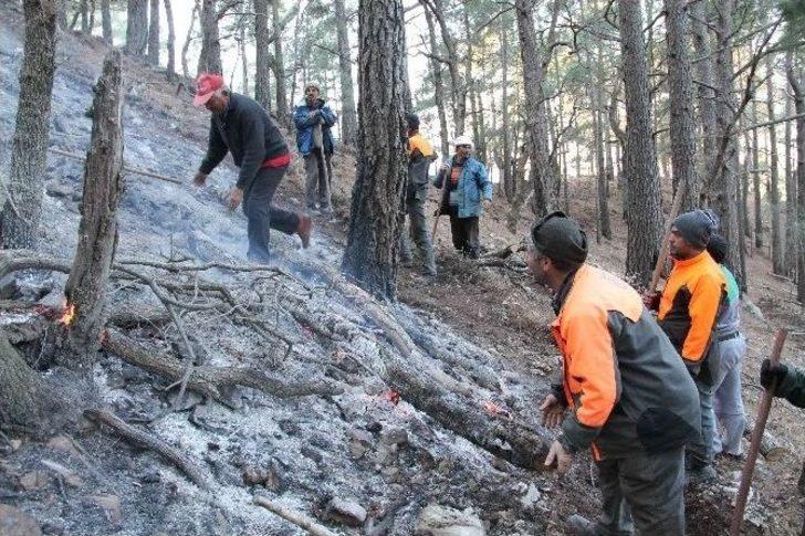 Fethiye’de Kış Ortasında Orman Yangını G1