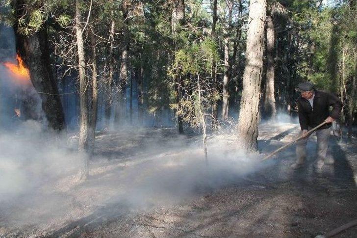 Fethiye’de Kış Ortasında Orman Yangını G5