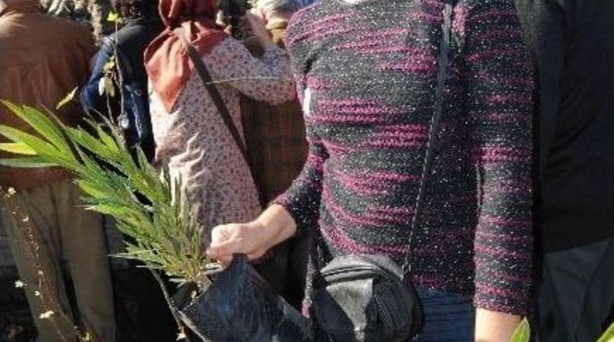 Orman İşletmeden Halka Yeni Yıl Hediyesi