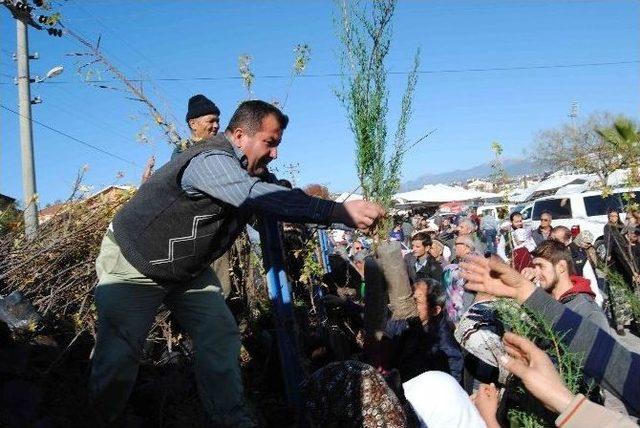 Orman İşletmeden Halka Yeni Yıl Hediyesi