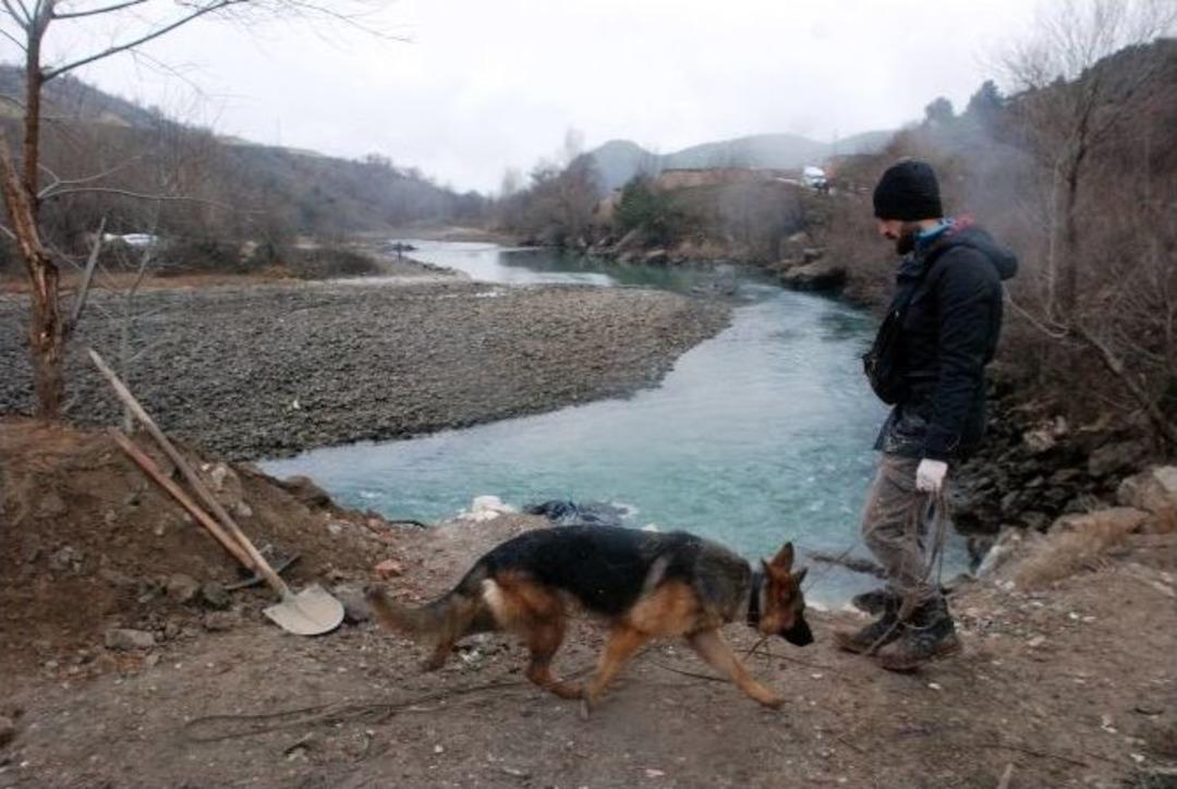 Kayıp &Ccedil;ocukları &Ouml;zel Eğitimli K&ouml;pekler Arıyor