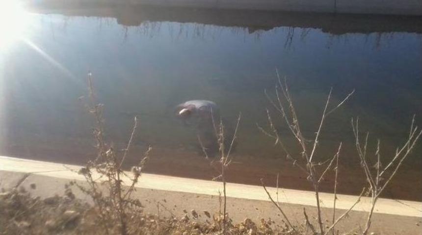 Sulama Kanalına D&uuml;şen Koyunu Kurtarmaya &Ccedil;alışırken Canından Oldu