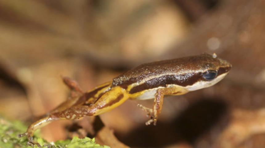 Bu ger&ccedil;ek sizi &ccedil;ok şaşırtacak!