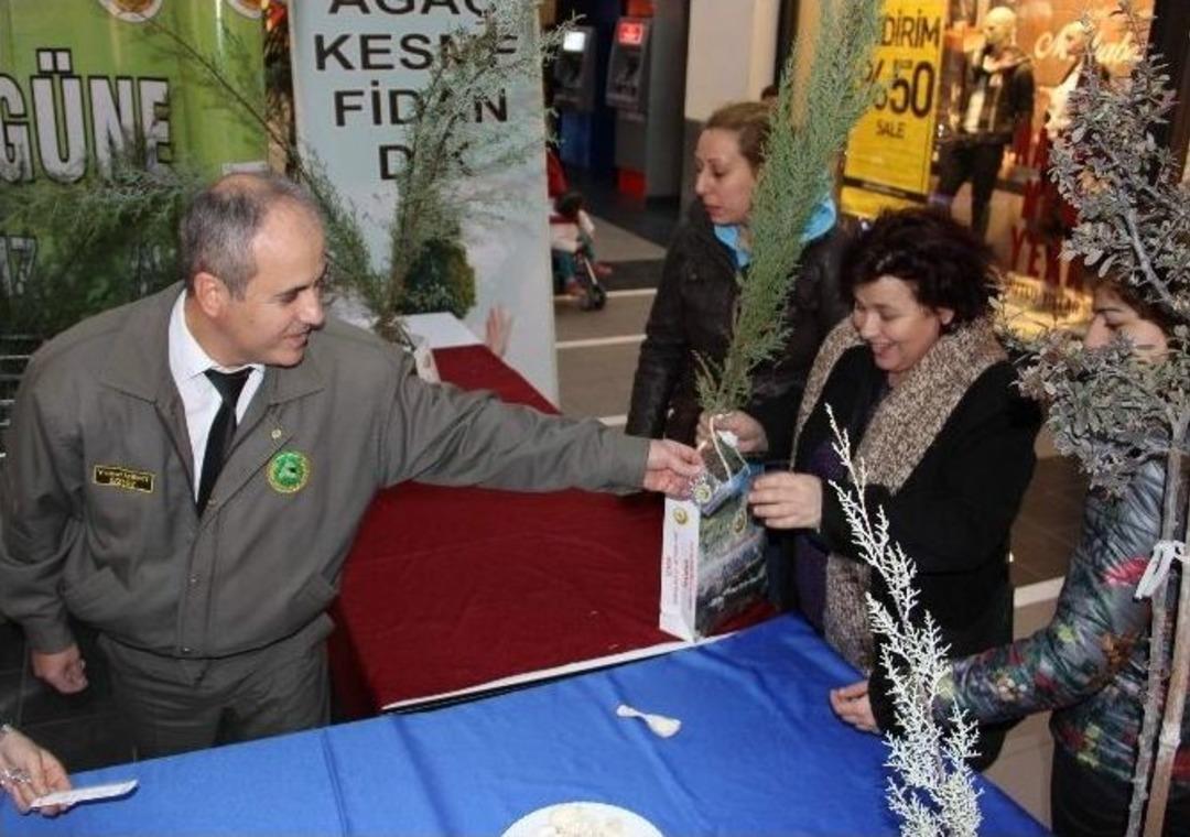 Forum Magnesia Avm&rsquo;de Fidan Dağıtımı