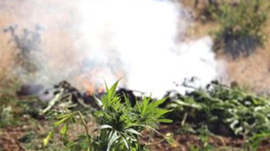 PKK'ya büyük darbe!