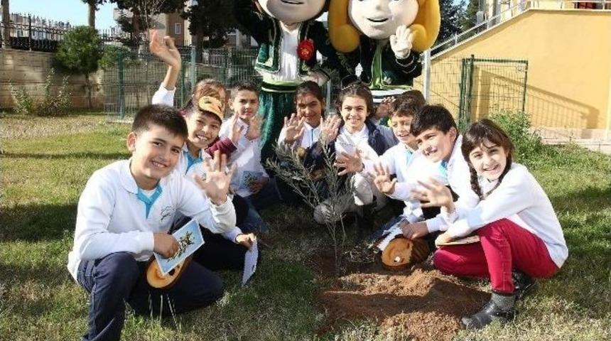 Ece-efe &Ouml;ğrencilerle Zeytin Fidanı Dikti