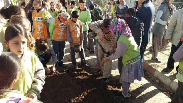 Tema Vakfı’ndan Öğrencilere Seminer