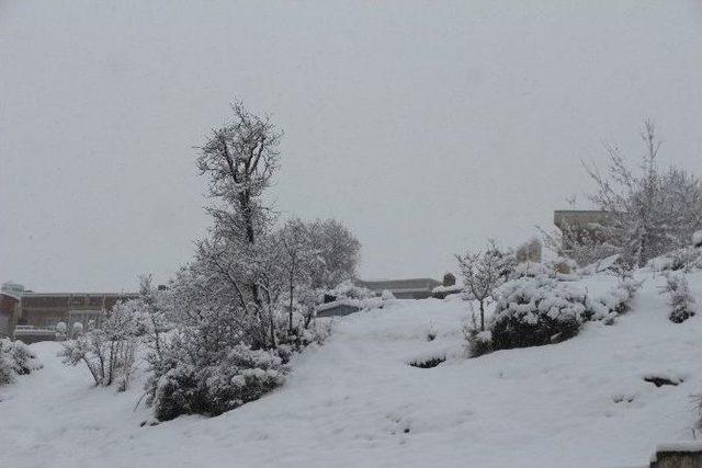 Şırnak’ta Okullara Kar Tatili