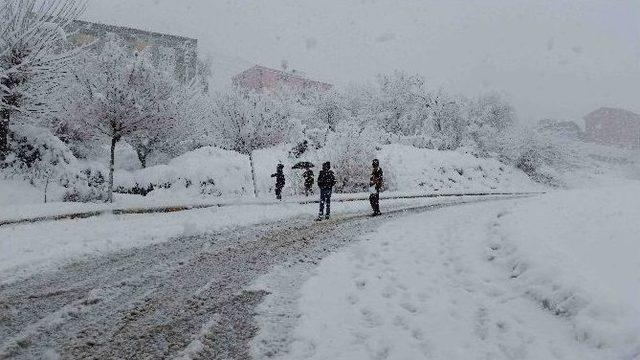 Kulp’ta Yılın İlk Karı Yağdı