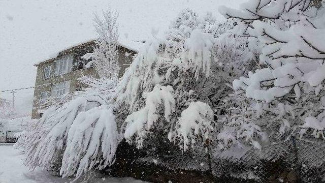 Kulp’ta Yılın İlk Karı Yağdı