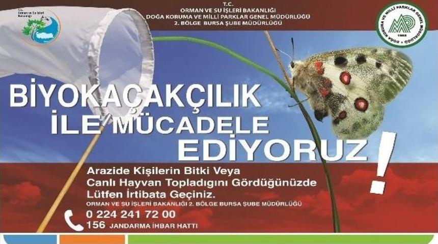 Biyo Ka&ccedil;ak&ccedil;ılıkla M&uuml;cadele Aralıksız Devam Ediyor
