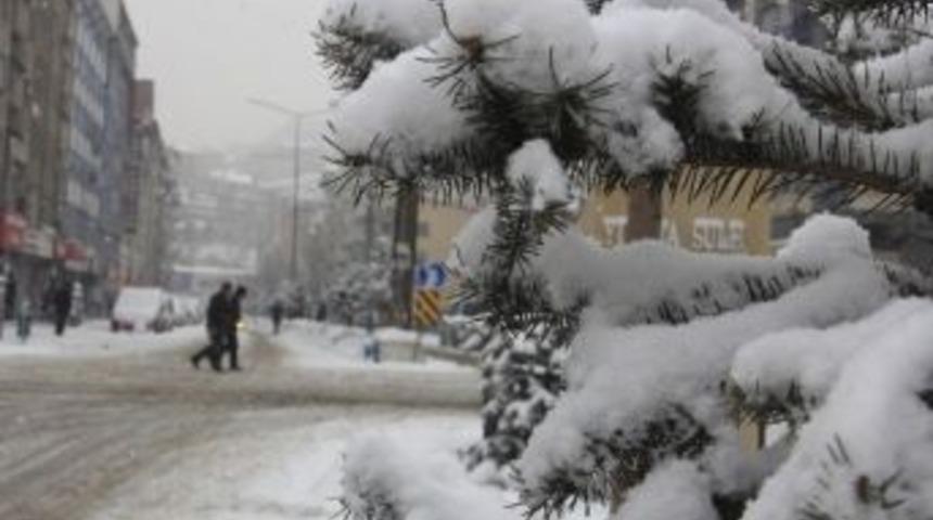 Hakkari&rsquo;de Karla M&uuml;cadele &Ccedil;alışması
