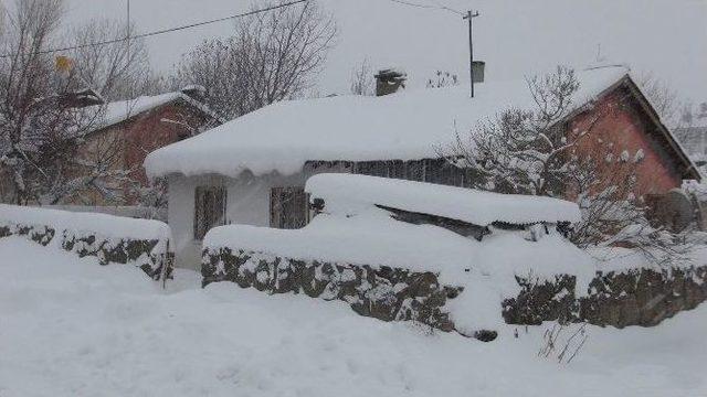 Bitlis’te Kara Kış