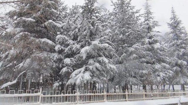 Bitlis’te Kara Kış