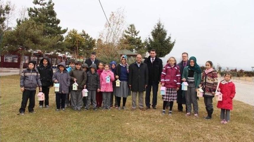 Biriktirdikleri Har&ccedil;lıklar Kuşları Yuva Sahibi Yaptı