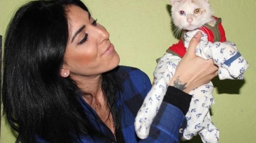 Kediye Pijamalı Tedavi