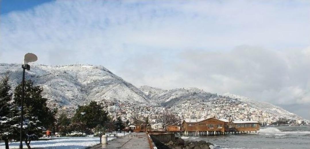 Ordu Beyaza B&uuml;r&uuml;nd&uuml;